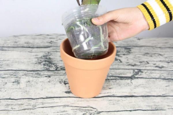 平時的“貴貨花”，路邊扔了一卡車，趕緊撿回家