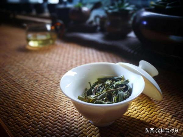 隔夜茶喝了會致癌？央視試驗說出真相，隔夜的東西到底哪些不能吃