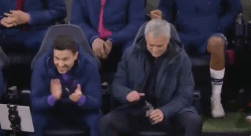 看看主教練們在球場上的丟人名場面