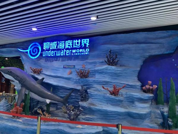 一場兩日遊，感受聊城的溫暖與魅力