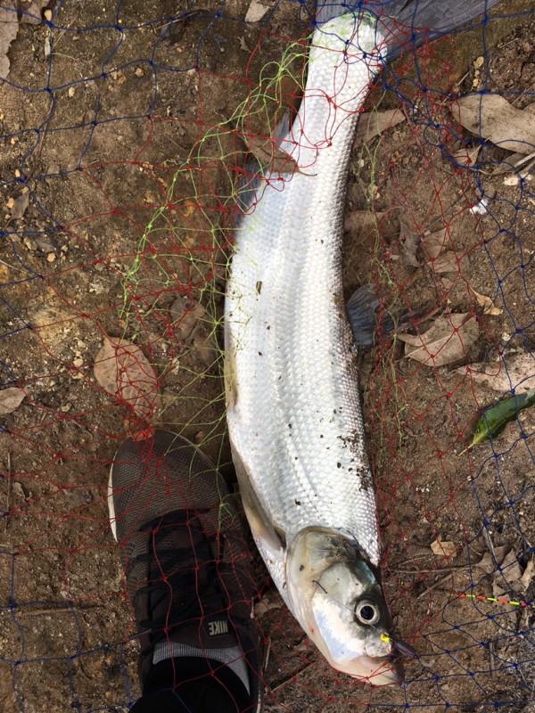 釣魚“奇”招數：磯竿滑漂遠投釣法，一招制勝