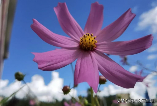 破防！這是軍人軍屬2021最捨不得刪的照片