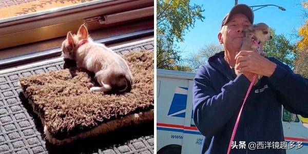 始於一個擁抱，小狗愛上快遞員，每天在家門口等著他的到來