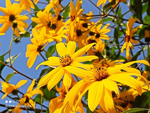 就是玩價效比,無劉海、打孔、水滴屏的真正全面屏舊手機入手推薦 就是玩價效比,無劉海、打孔、水滴屏的真正全面屏舊手機入手推薦