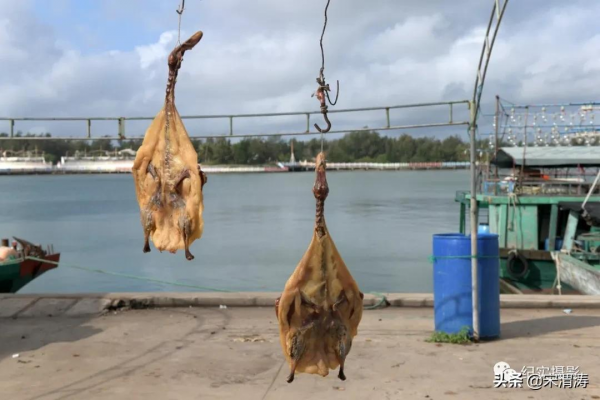 吳鍾飛：臘月漁鄉港北
