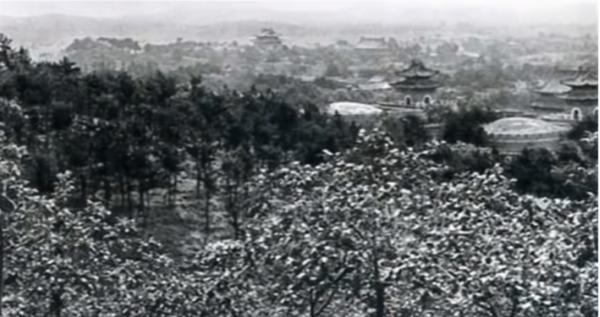 1928年,慈禧陵墓被盜,她口中價值8億的夜明珠,如今流落何方? 1928年,慈禧陵墓被盜,她口中價值8億的夜明珠,如今流落何方?