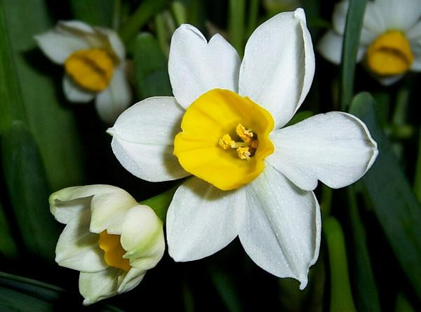 行攝京華大地——最美北京，在冬天