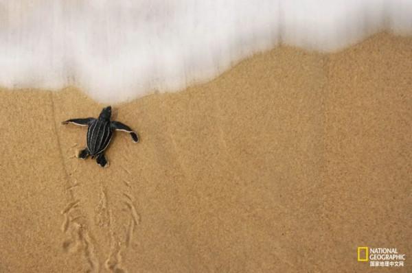 這30張圖,經典到難以超越 這30張圖,經典到難以超越
