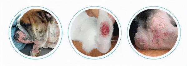 隨“浴”而安——藥浴香波，你選對了嗎？