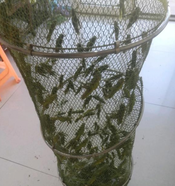 那些年,釣魚大佬們都釣到過什麼? 那些年,釣魚大佬們都釣到過什麼?