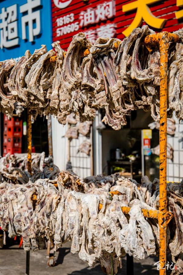 我勸你!千萬不要來襄陽上大學 我勸你!千萬不要來襄陽上大學