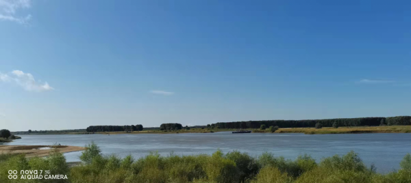 特殊的力量 特殊的力量