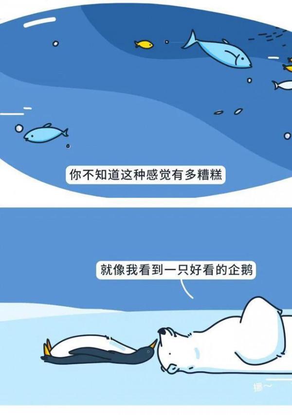 漫畫:努力的人,一般都很狼狽 漫畫:努力的人,一般都很狼狽