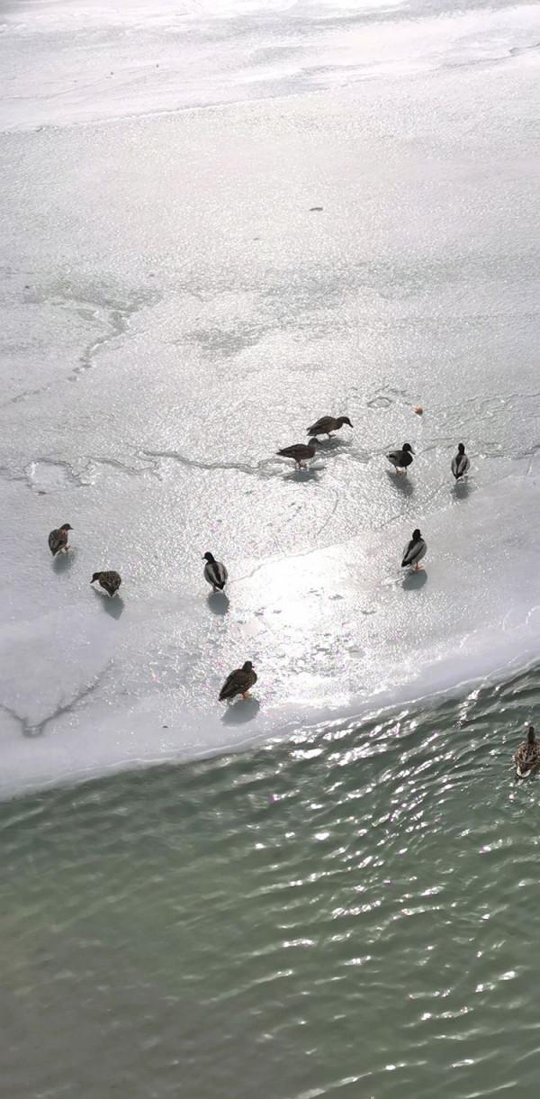 冬遊頤和園 冬遊頤和園