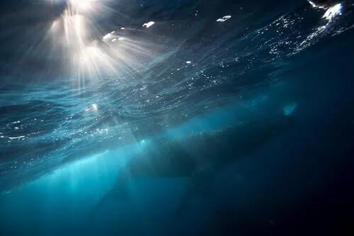 當丁達爾效應出現時,光就有了形狀 當丁達爾效應出現時,光就有了形狀