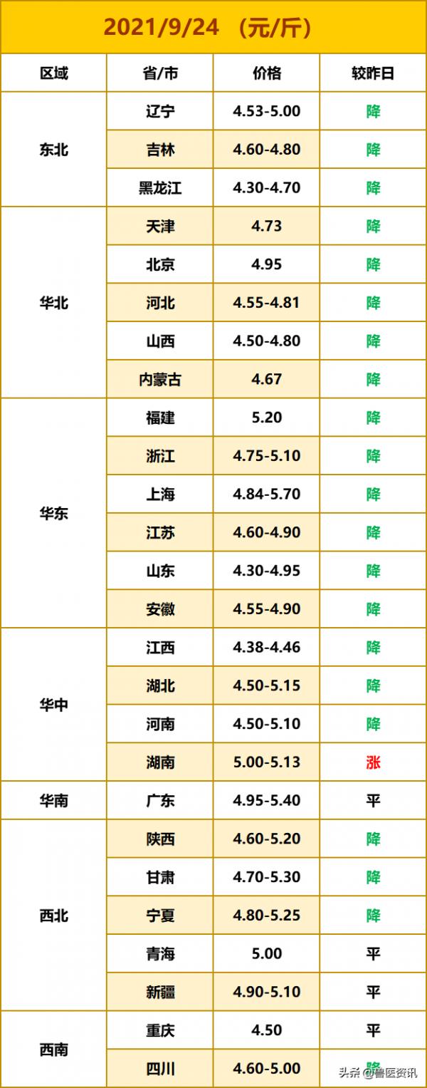 2021.9.24號全國毛雞/雞苗/雞蛋/817 2021.9.24號全國毛雞/雞苗/雞蛋/817