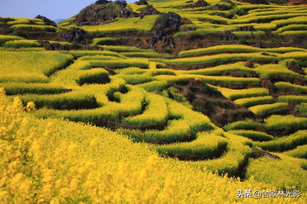 羅平馬街，一個把田地種成了風景畫的地方，山區賞花正當時哦