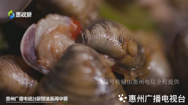 沿著贛深高鐵遊惠州 嘆美食看風景 沿著贛深高鐵遊惠州 嘆美食看風景