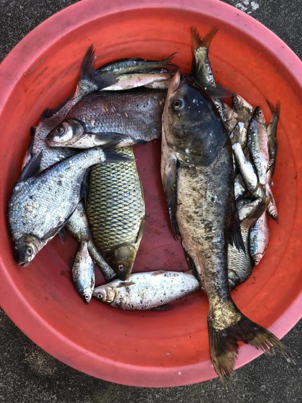 北京出發自駕太平湖，圓夢釣魚人