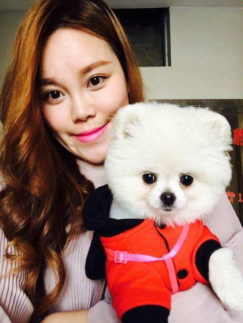 博美犬不是一般人可以養的,這幾個缺點很“致命” 博美犬不是一般人可以養的,這幾個缺點很“致命”