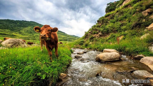 國內34省區最值得去的地方，個個都美得有魔力，此生不去心不安