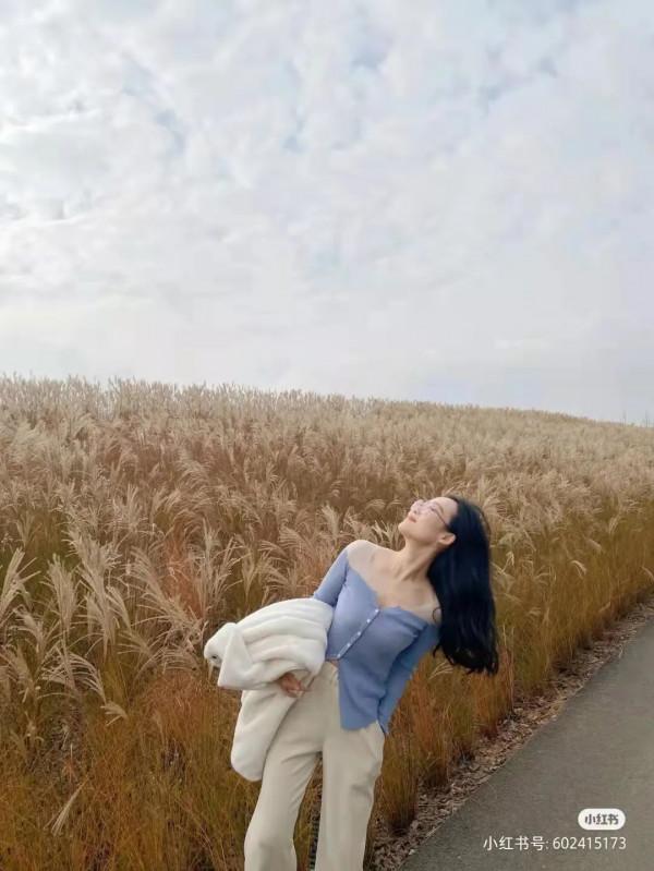 蘆葦搖，花絮飄！快來拍美美的冬季浪漫大片吧！