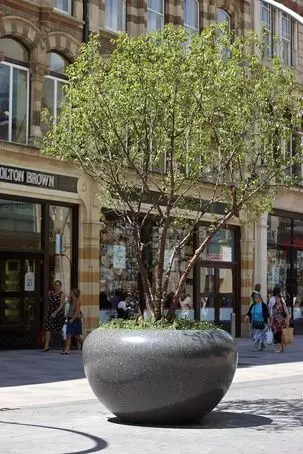 最美意向—樹池與坐凳的完美結合