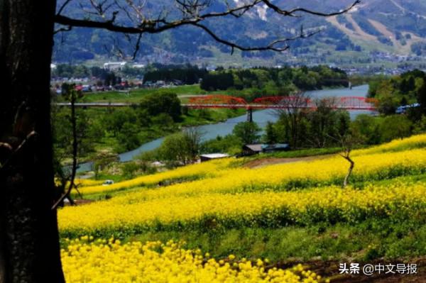 長野斑尾高原：金秋登高，滌盪肺腑