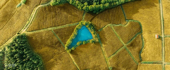 打造全球神往的森林群島“度假星球”