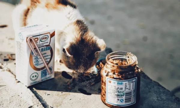 寵物保健在中國:洋品牌光環漸退,國貨崛起 | 寵物新國貨破局 寵物保健在中國:洋品牌光環漸退,國貨崛起 | 寵物新國貨破局