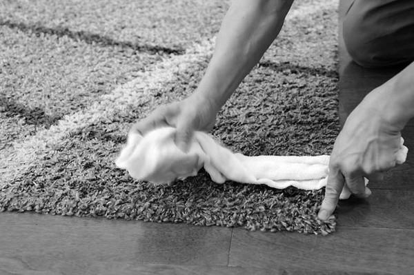 “蝨子”與我們共存千萬年,為何這幾年見不到了? “蝨子”與我們共存千萬年,為何這幾年見不到了?