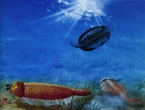 人都是女人生的,那麼在沒有人類之前,第一個女人是哪裡來的? 人都是女人生的,那麼在沒有人類之前,第一個女人是哪裡來的?