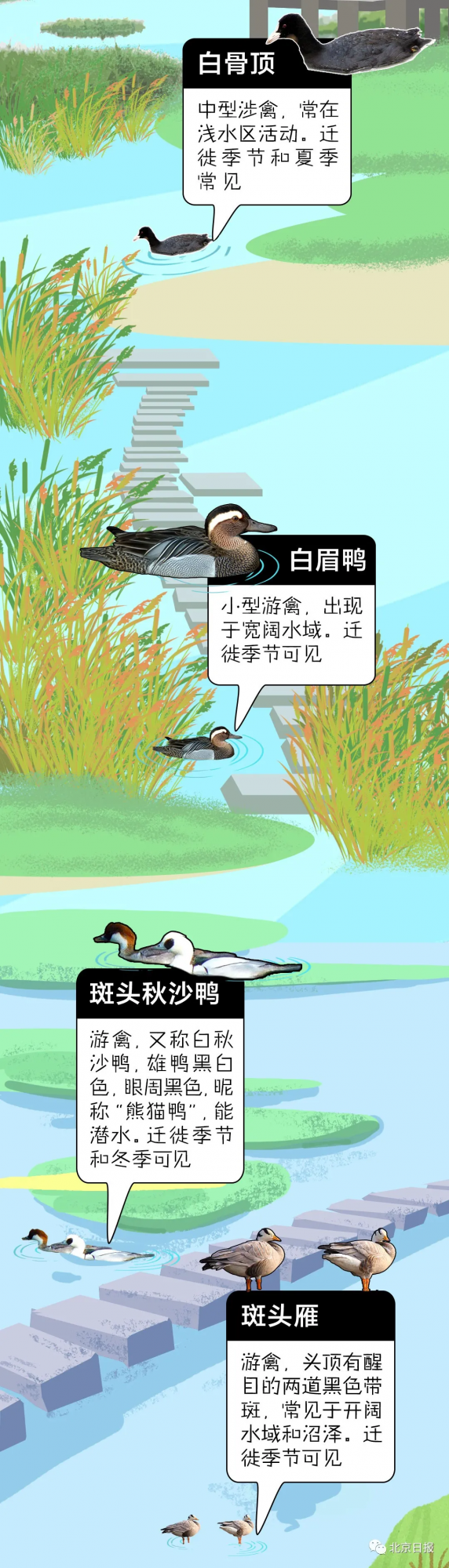 北 京 百 鳥 圖 鑑