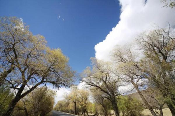 西藏是一種病，不去永遠治不好！這份西藏旅遊攻略請收好