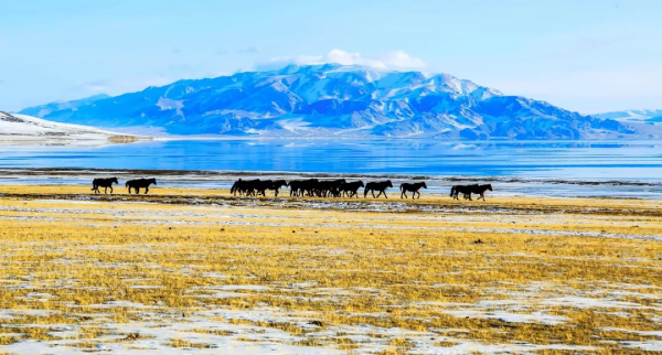 新疆剛下雪，小夥伴不淡定了：原來冬天的新疆是這樣的