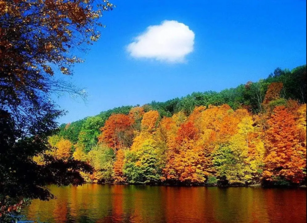 國內6條超驚豔的自駕路線，橫跨東西南北，一路風景賞心悅目