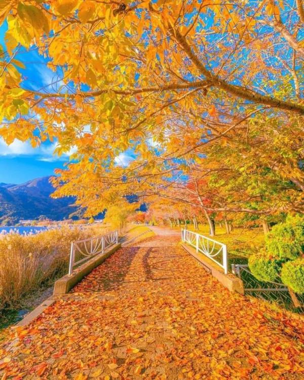 領略風景如畫的日本風光