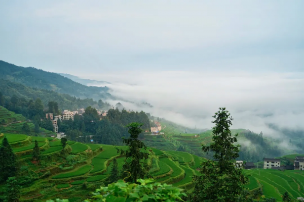 《國家地理》力薦！深藏大山的千年神奇秘境，還入選吉尼斯記錄