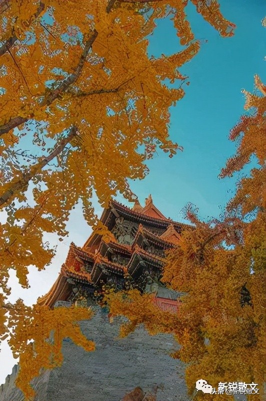 中秋節行走在北京，不是發現古北京的劣勢，而是發現新北京的優勢