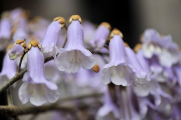 那個叫招娣的女孩，你過的還好嗎？