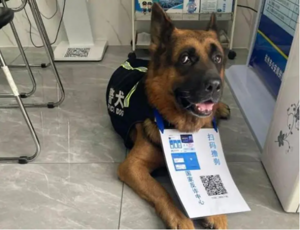 「工人日報e網評」反詐動畫刷屏，嚴肅話題的宣介就得這麼拼