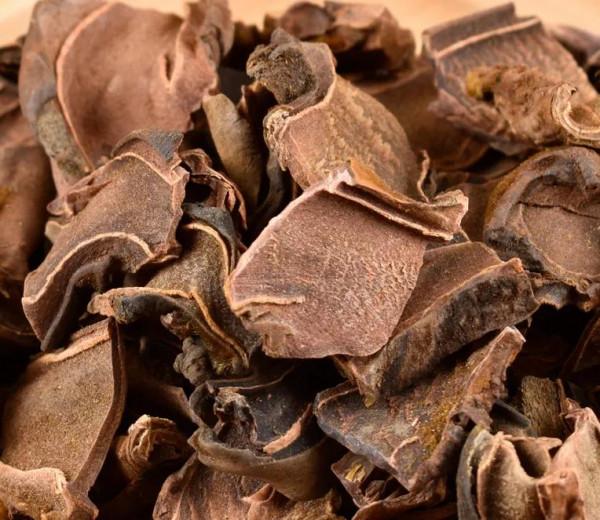 中藥知多少？&mdash;&mdash;狗脊