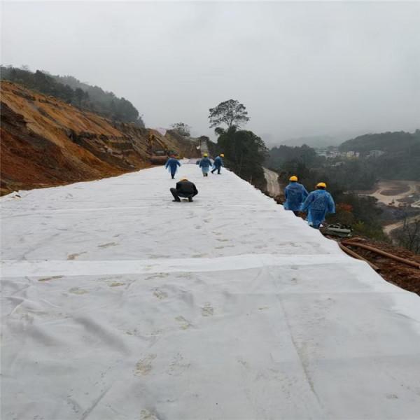 高韌聚酯有紡土工布