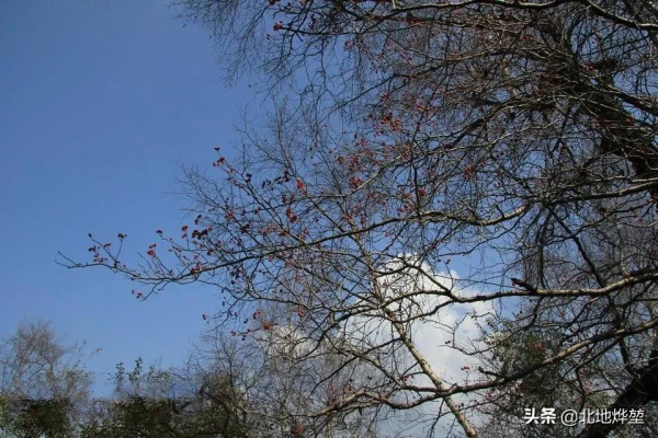 分享一組關山牧場的原生態秋景 分享一組關山牧場的原生態秋景