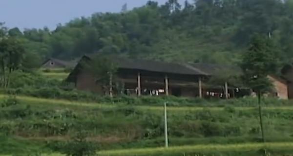 湖南一少年通曉鳥語，能引導鳥兒做事，傳聞中的“鳥神”被找到？