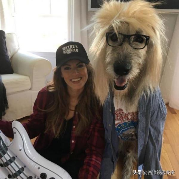 名字兇悍,個頭巨大,日常逗比,愛爾蘭獵狼犬是種怎麼樣的存在? 名字兇悍,個頭巨大,日常逗比,愛爾蘭獵狼犬是種怎麼樣的存在?