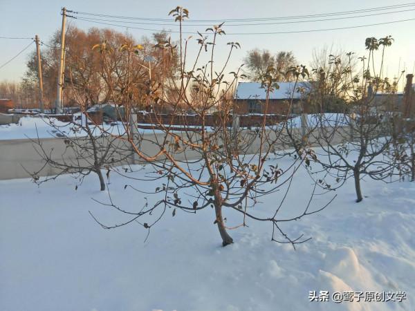 一組關於雪的詩詞——寧自寒時起,何從暖中生 一組關於雪的詩詞——寧自寒時起,何從暖中生