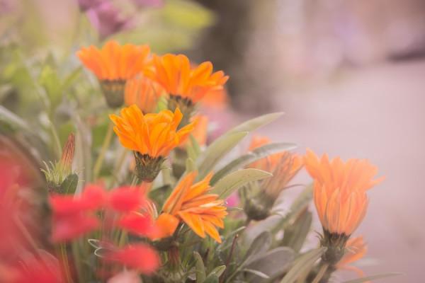 巨蟹座周運勢9.20-26,憑藉吃苦耐勞,知識與實踐,完成財富積累 巨蟹座周運勢9.20-26,憑藉吃苦耐勞,知識與實踐,完成財富積累