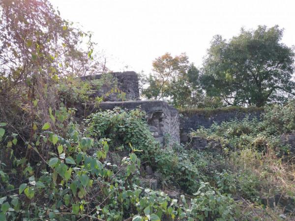 民國往事：貴州軍閥之興義系（三）