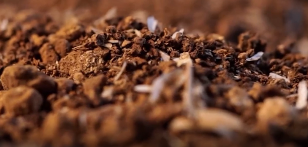 陝西發現巨大墓葬群,專家挖出數百件文物,墓主身份卻無法判斷 陝西發現巨大墓葬群,專家挖出數百件文物,墓主身份卻無法判斷